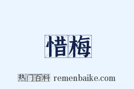 惜梅是什么意思的图片